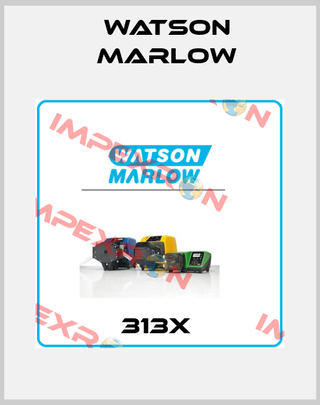 313X  Watson Marlow