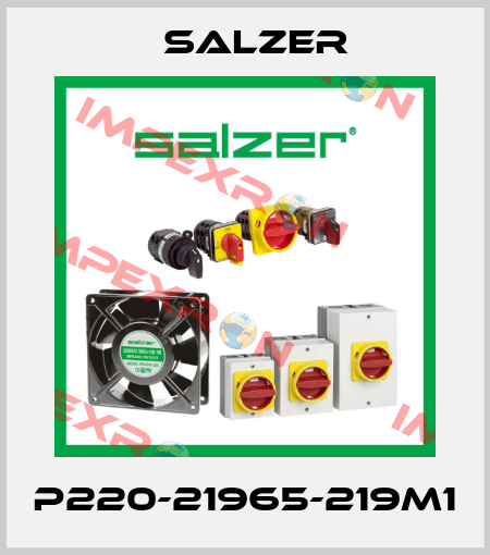 P220-21965-219M1 Salzer