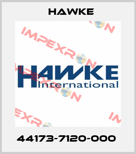 44173-7120-000  Hawke