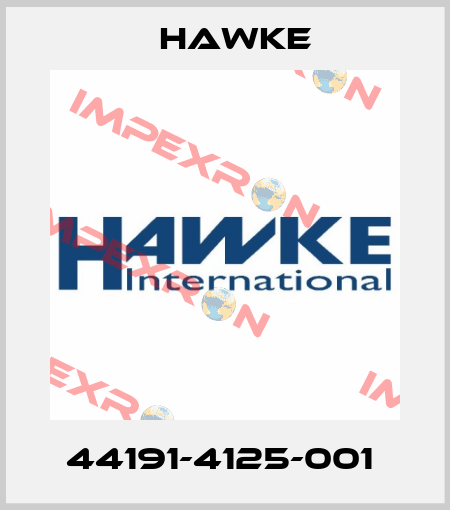 44191-4125-001  Hawke