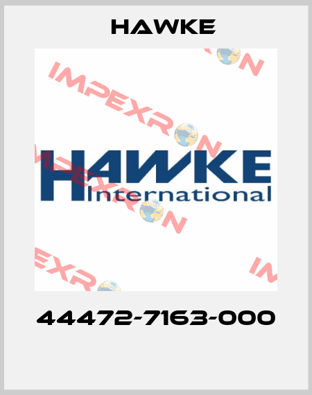 44472-7163-000  Hawke