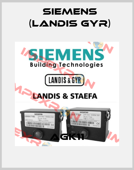 AGK11 Siemens (Landis Gyr)