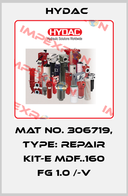 Mat No. 306719, Type: REPAIR KIT-E MDF..160 FG 1.0 /-V Hydac