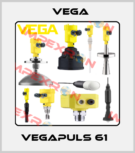 VEGAPULS 61   Vega
