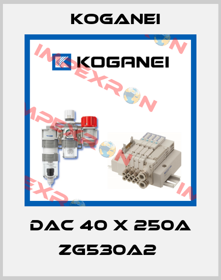 DAC 40 X 250A ZG530A2  Koganei