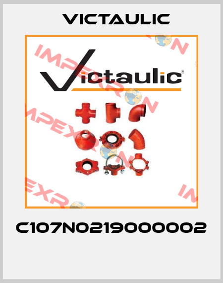 C107N0219000002  Victaulic