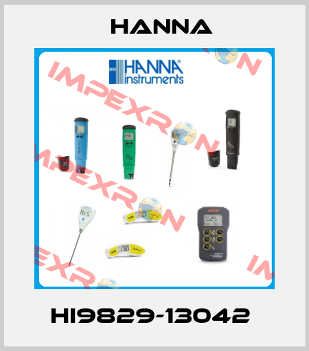 HI9829-13042  Hanna