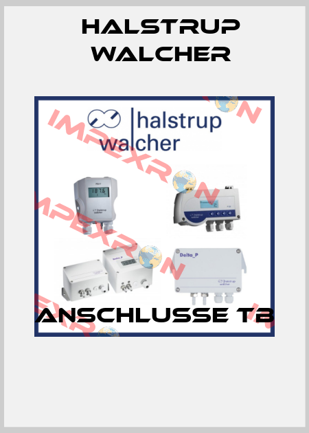 ANSCHLUSSE TB  Halstrup Walcher