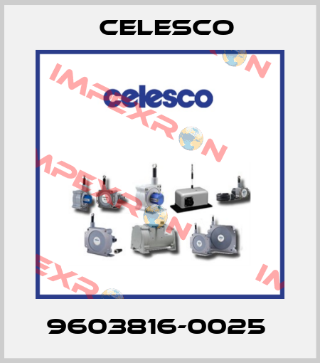 9603816-0025  Celesco