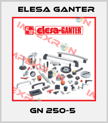 GN 250-5  Elesa Ganter