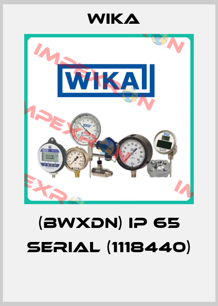 (BWXDN) IP 65 Serial (1118440)  Wika