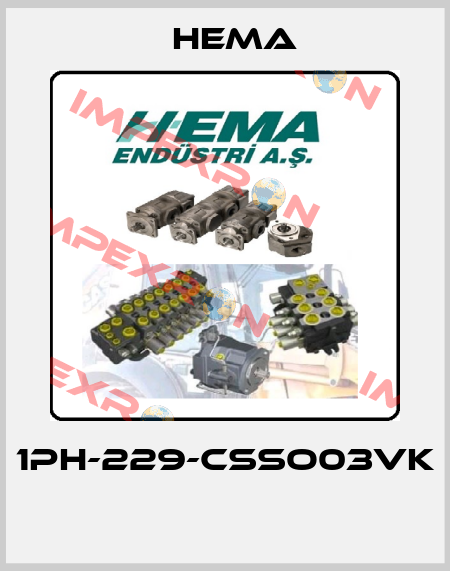 1PH-229-CSSO03VK  Hema