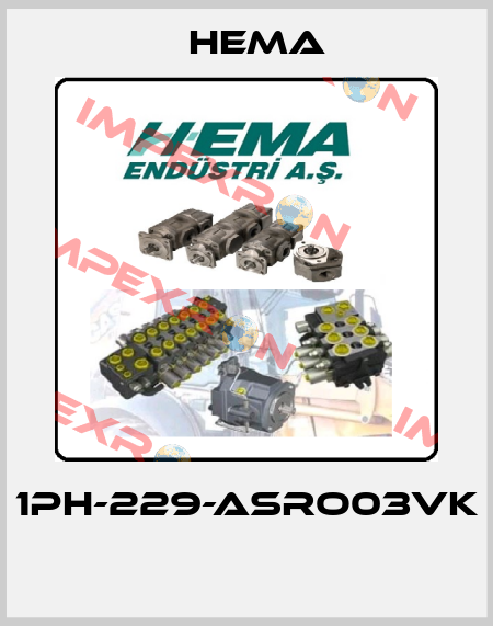 1PH-229-ASRO03VK  Hema