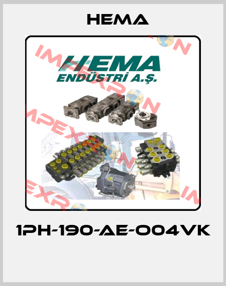 1PH-190-AE-O04VK  Hema