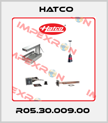 R05.30.009.00  Hatco