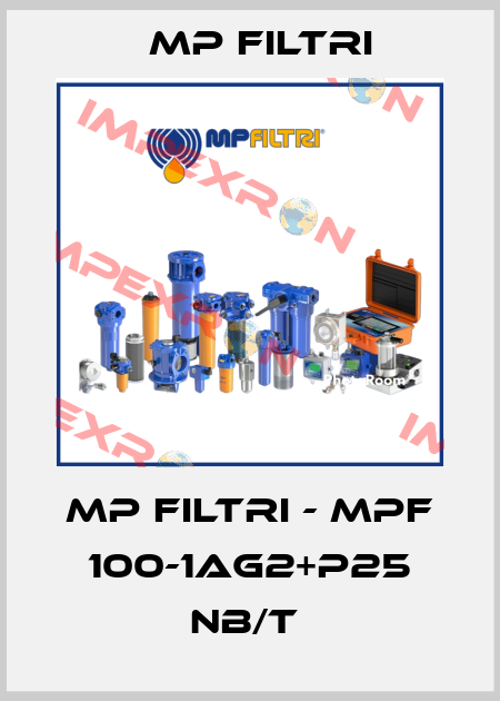 MP Filtri - MPF 100-1AG2+P25 NB/T  MP Filtri