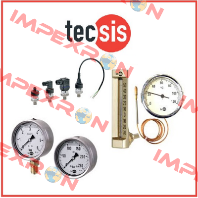 P2033B069901  Tecsis (WIKA Group)