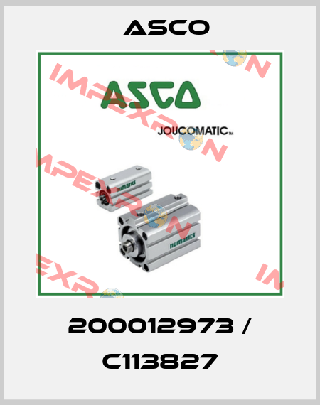 200012973 / C113827 Asco