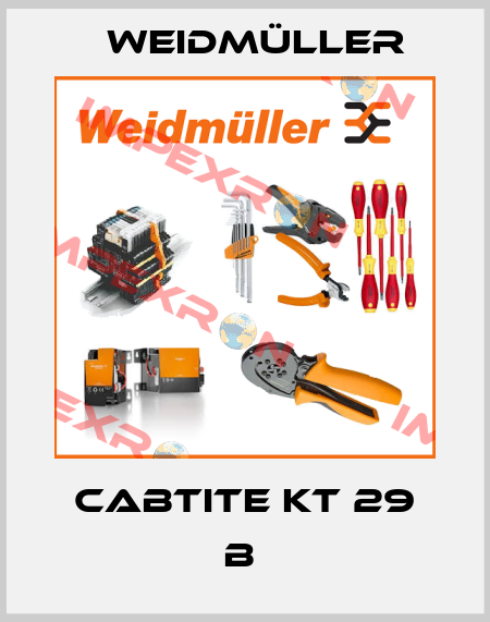 CABTITE KT 29 B  Weidmüller