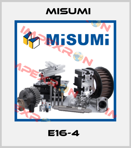 E16-4  Misumi