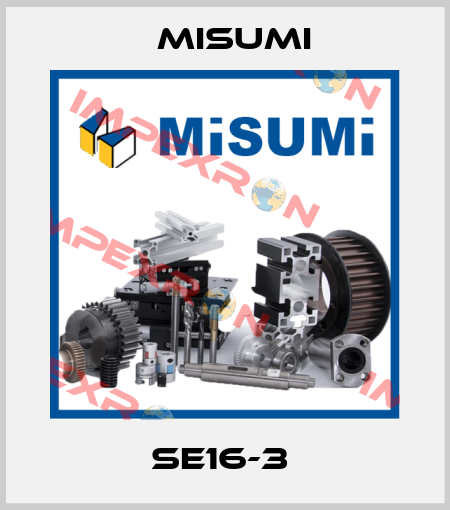 SE16-3  Misumi