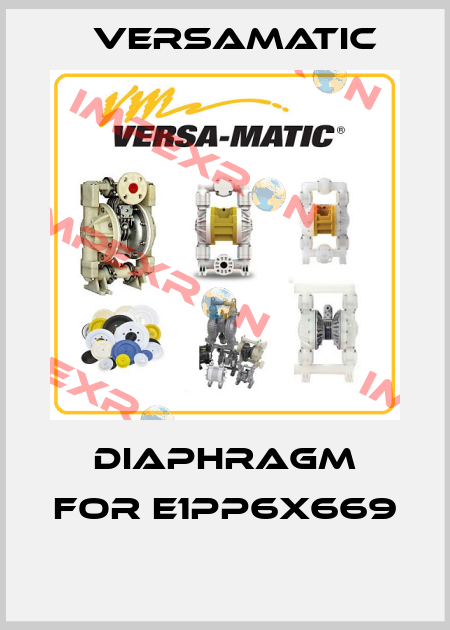 DIAPHRAGM FOR E1PP6X669  VersaMatic