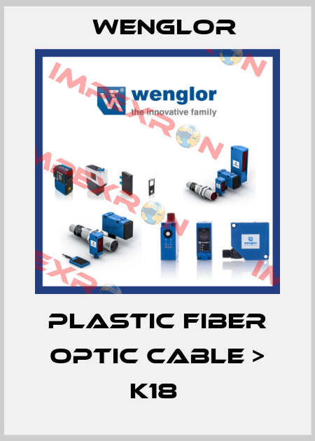 Plastic Fiber Optic Cable > K18  Wenglor