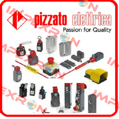 FD 501-2GM2K21  Pizzato Elettrica