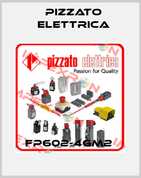 FP602-4GM2  Pizzato Elettrica