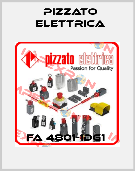 FA 4801-1DG1  Pizzato Elettrica