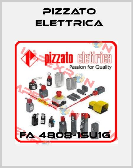FA 4808-1SU1G  Pizzato Elettrica