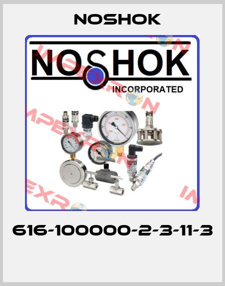 616-100000-2-3-11-3  Noshok