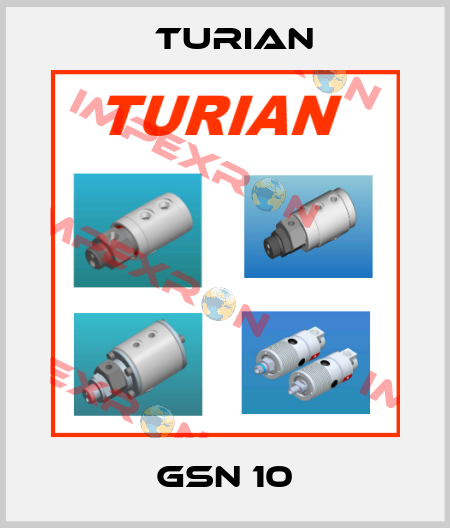 GSN 10 Turian