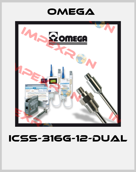ICSS-316G-12-DUAL  Omega