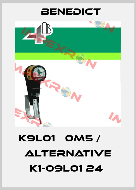 K9L01   0M5 /      Alternative K1-09L01 24  Benedict