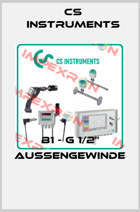 B1 - G 1/2" Außengewinde  Cs Instruments