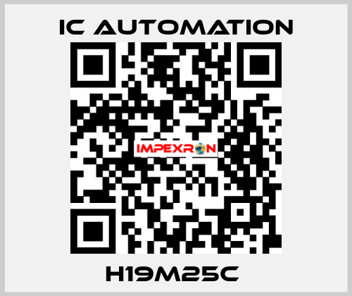 H19M25C  ic automation