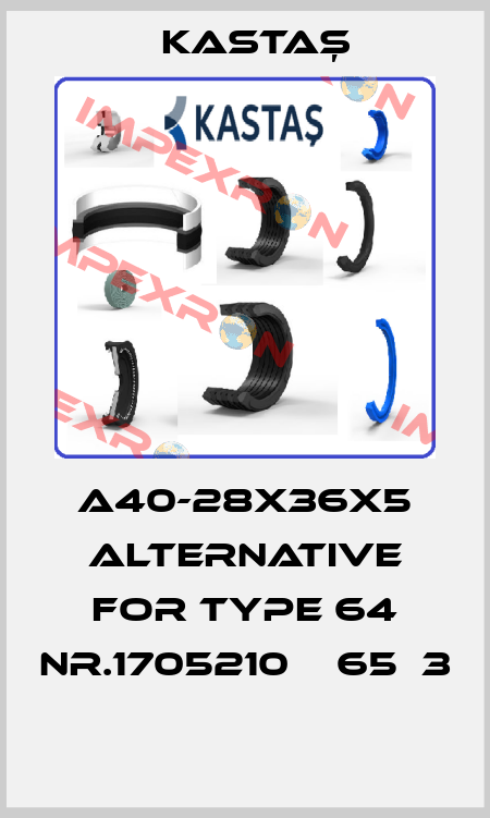 A40-28X36X5 alternative for Type 64 Nr.1705210（Φ65）3  Kastaş