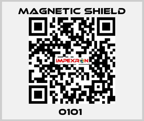 0101  Magnetic Shield