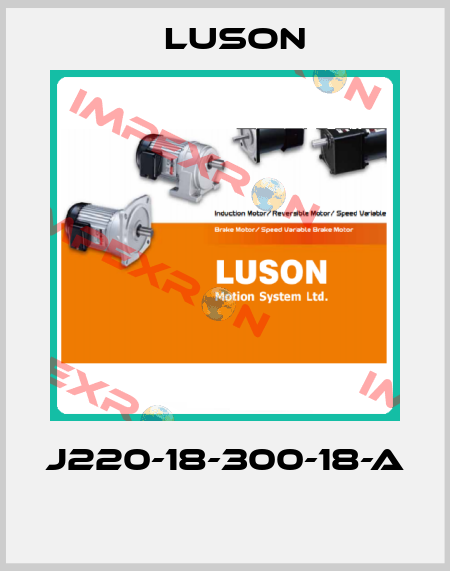 J220-18-300-18-A  Luson