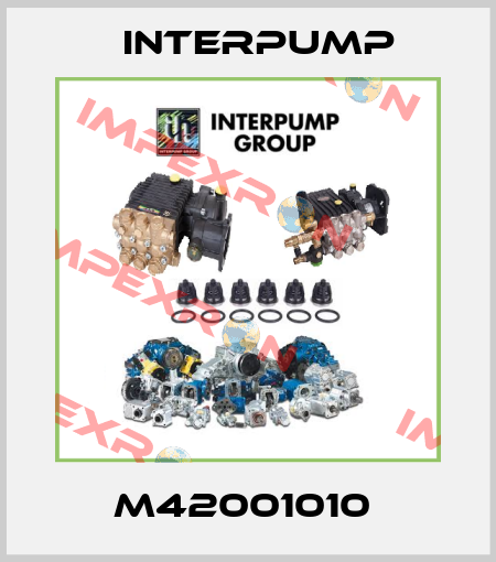 M42001010  Interpump