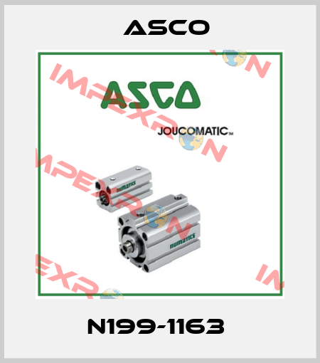 N199-1163  Asco