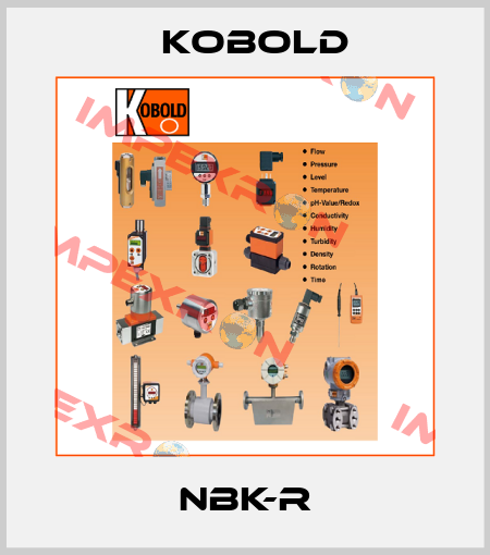 NBK-R Kobold