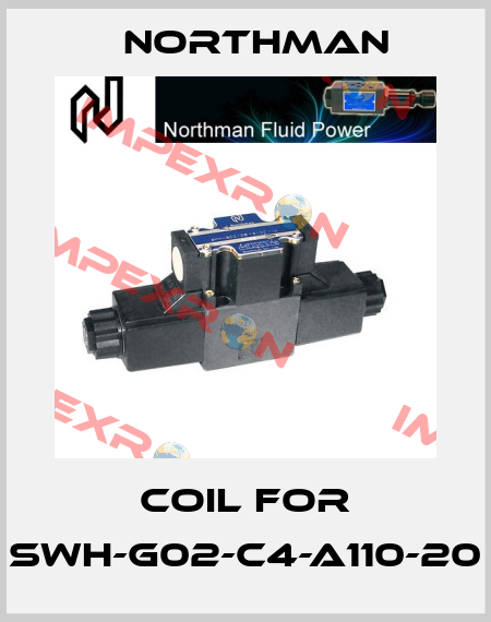 Coil for SWH-G02-C4-A110-20 Northman