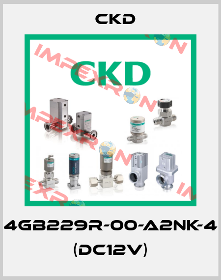 4GB229R-00-A2NK-4 (DC12V) Ckd