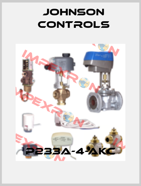 P233A-4-AKC Johnson Controls