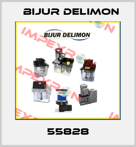 55828 Bijur Delimon