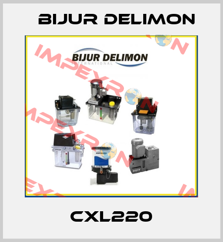 CXL220 Bijur Delimon