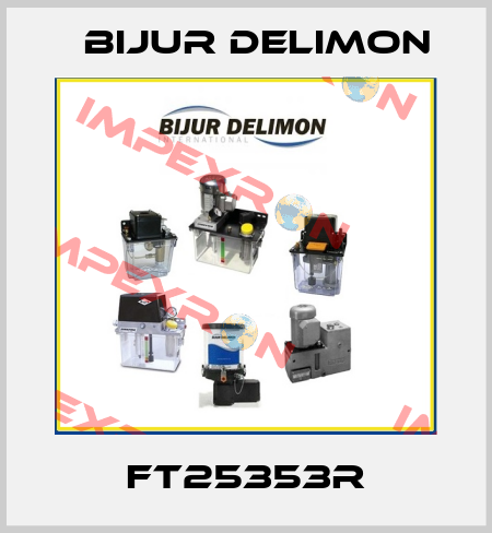 FT25353R Bijur Delimon