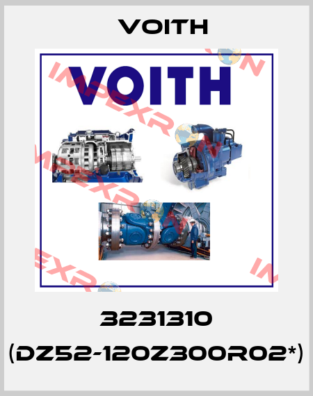 3231310 (DZ52-120Z300R02*) Voith